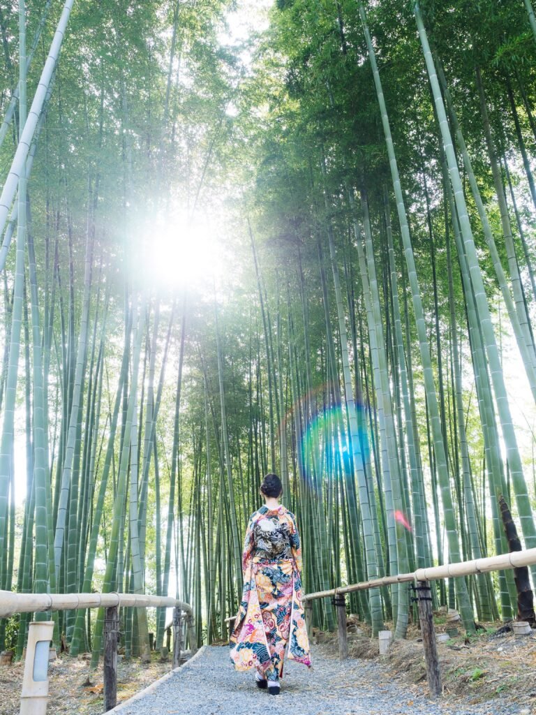 bamboo grove