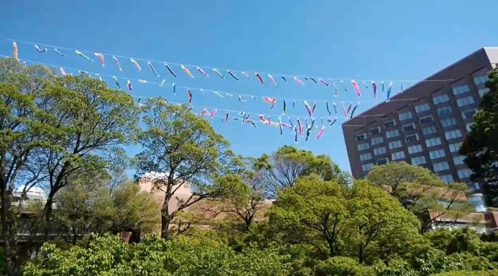 100 carp streamers in the sky